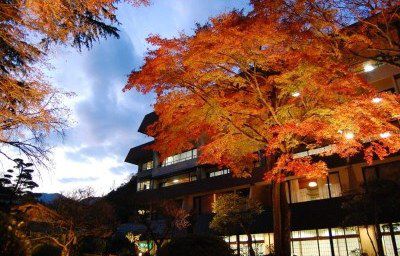 吉池日式旅馆 箱根
